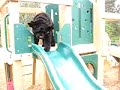 Sliding Drake 4 Sliding Drake 4