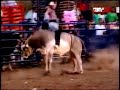 Brinca Vaca ! ! !