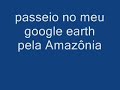 desmatamento da amazonia