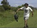 Wildlife Adventures with Steve: Outer Banks Wildlife Part 2