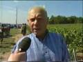 Vignoble des Agaises, Cuvée Seigneur Ruffus: vendanges 2003