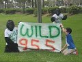 Wild 95.5 - Show Us Your Wild