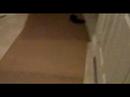 House Floor 1