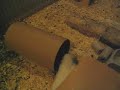 PigTube