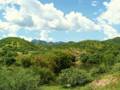 videos de El Alamo and El Palmarito Scenery