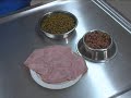 Watch the Cat Diet Video