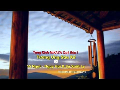 Tạng Kinh NIKAYA Quý Báu ! Tương Ưng Sáu Xứ 3 - Vị Ngọt - Nguy Hại & Sự Xuất Ly
