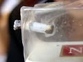 semen de camello semen de camello