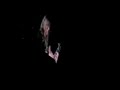 Click here to watch this video Night Ranger - (You Can't Still) Rock in America (Auditorio Nacional México) recorded by hUGo