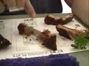 Cookeville,TN Rib judges