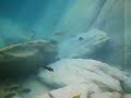 Trip to Lake Malawi