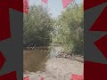 Hiking Down Cherry Creek