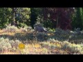 Grand Teton National Park - YouTube