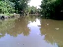 Exploring the canals of Kumarakom. - Kumarakom Backwaters 2