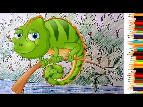 How to Draw a Chameleon Step by Step Easy for Children – Drawing