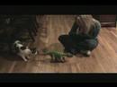Waking Pleo