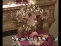 Vyasa Puja of Srila Sadhu Maharaja - 2008 Terni, Italy Vyasa Puja of Srila Sadhu Maharaja - 2008 Terni, Italy