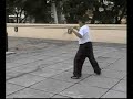 Pak Hok Pai Poon Loong Stick ?????? Pak Hok Pai Poon Loong Stick ??????