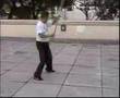 Pak Hok Pai Poon Loong Stick 白鹤派蟠龙棒