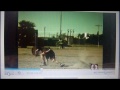 Click here to watch this video CBDF football funny
