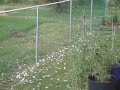 July 15 2007 Hailstorm Carstairs Alberta