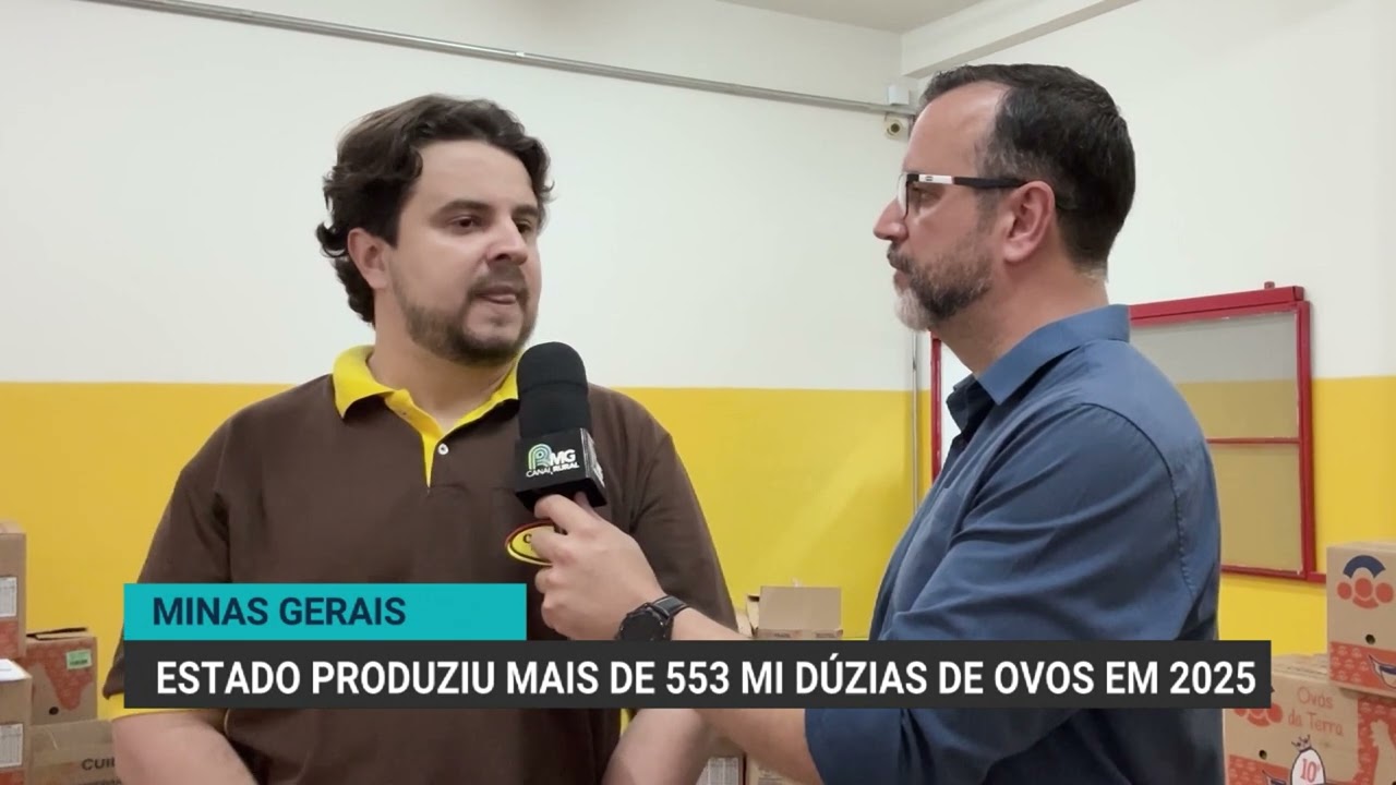 Minas Gerais produziu mais de 553 milhões de dúzias de ovos em 2025