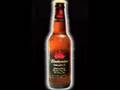 videos de Beer!
