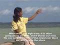 Testimonials from people of Tanimbar