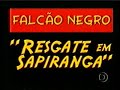 falcão negro