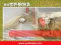 环境危机 白色污染 的蔓延...