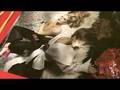 videos de CESVIM ACADEMY - Master in ricostruzione unghie