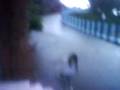 videos de sabet oh sabet