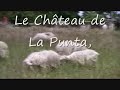 La seconde fin du palais des Tuileries ?