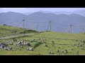 Windmills in Shikoku