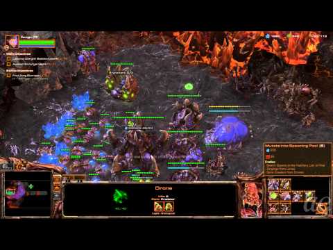 starcraft 2 swarm