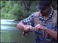 Trophy Rock bass