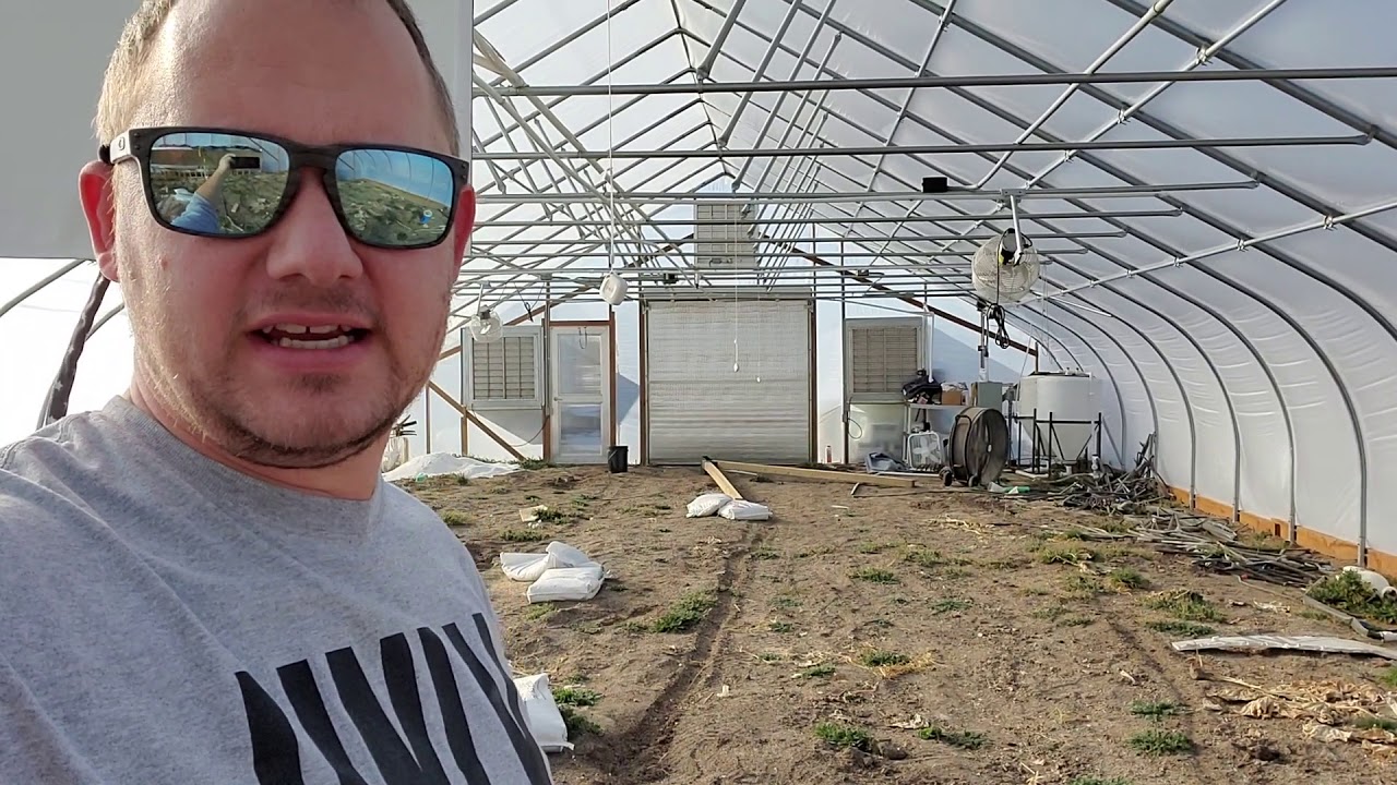 First Giant Pumpkin video of the year!