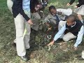 St. Hope Leadership Academy Harlem Art- Andy Goldsworthy 7A
