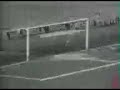 Toro Legend Gigi Meroni The Granata Butterfly