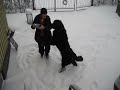 Newfie Dog Training