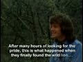 Christian the Lion - The View