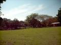 videos de Morelos Misantla