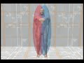 The Double Testicle View of the Human Body Part 01