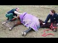 ilph field officer ted barnes discusses a case where a pregnant mare was left to starve to death, with 1000 bales of hay in the next field.

to find out more about the work of the ilph please subscribe to our videos, or visit www.ilph.org