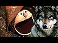 The Boy Who Cried Wolf Movie