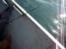 pesca do robalo em santos