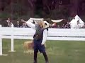 Morning Jousting @ Golden Gate Ren Faire