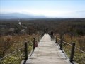 Best places to see Autumn Leaves