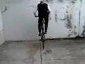 videos de il muro