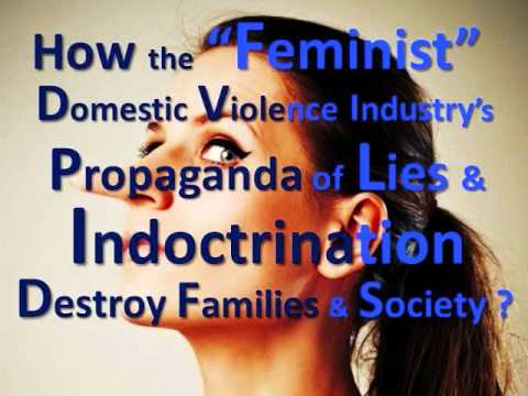 45 Years of Feminist Domestic Violence Industry Evil Lies Indoctrination The Song VAWA Fraud